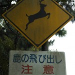 Nara